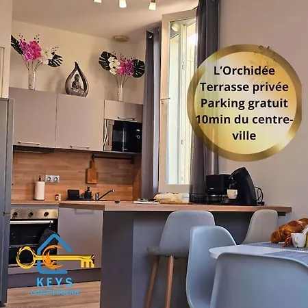 L'orchidee, Proche De La Gare Avec Clim Et Terrasse *