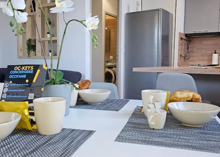 L'orchidee, Proche De La Gare Avec Clim Et Terrasse