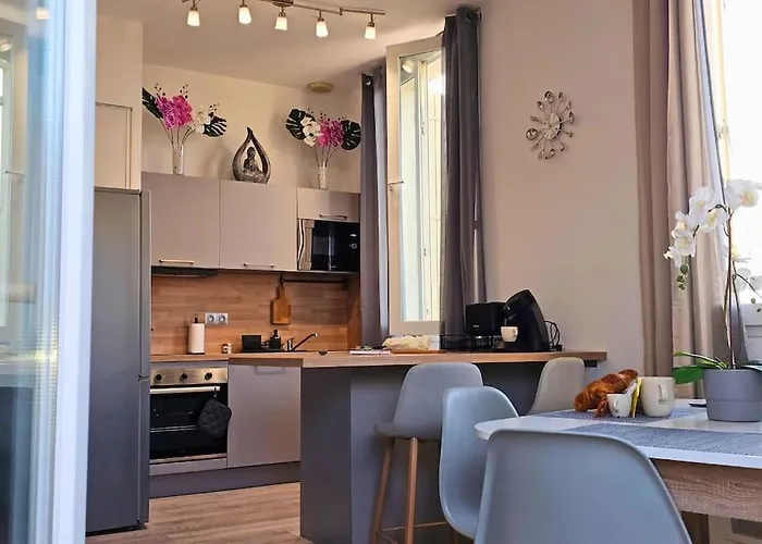 L'orchidee, Proche De La Gare Avec Clim Et Terrasse Narbonne