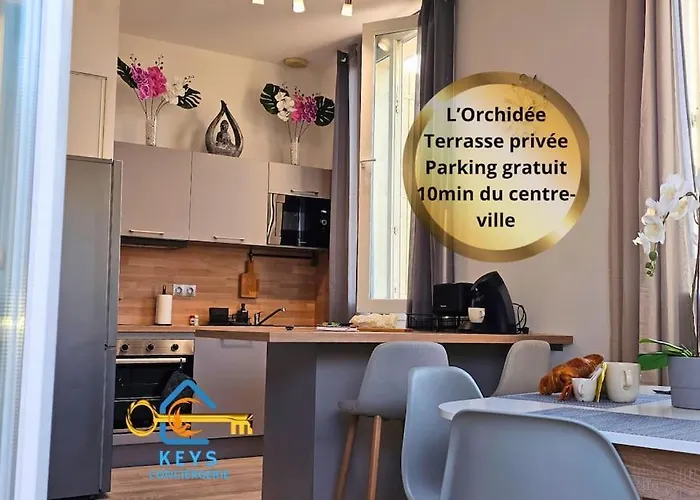 L'orchidee, Proche De La Gare Avec Clim Et Terrasse *